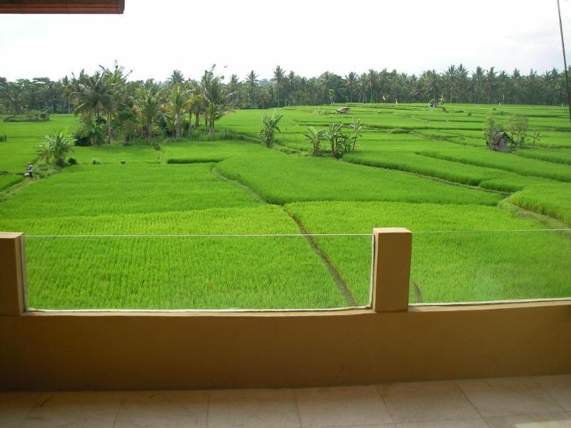 Green Field Hotel And Bungalow Ubud Exterior foto
