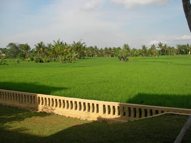 Green Field Hotel And Bungalow Ubud Exterior foto