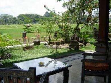 Green Field Hotel And Bungalow Ubud Exterior foto